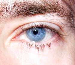 Profil de Kingsley